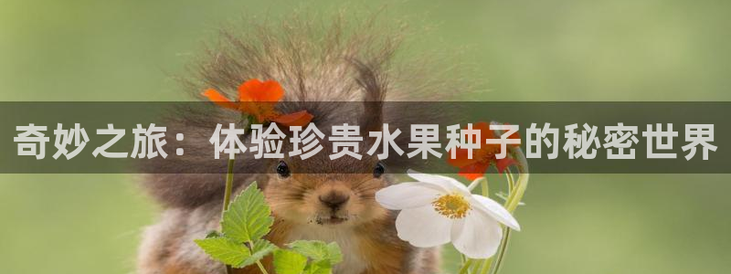 “海角社区大陆：奇妙之旅：体验珍贵水果种子