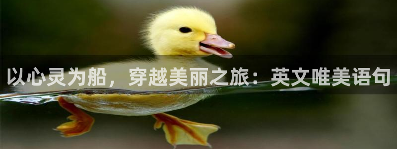 hj60c1海角社区：以心灵为船，穿越美