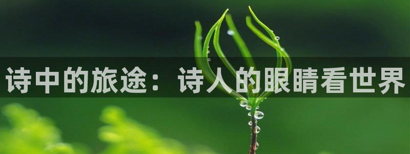 “海角社区官网免费网页：诗中的旅途：诗人的